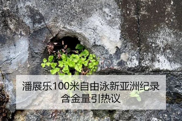 潘展乐100米自由泳新亚洲纪录含金量引热议
