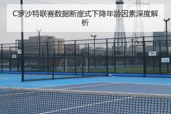 luo-sha-te-lian-sai-shu-ju-duan-ya-shi-xia-jiang-nian-ling-yin-su-shen-du-jie-xi-2-507.jpg