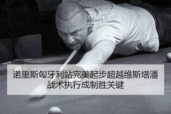 诺里斯匈牙利站完美起步超越维斯塔潘 战术执行成制胜关键