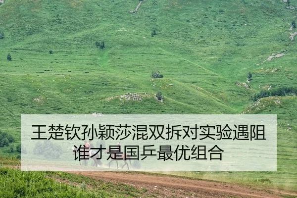 wang-chu-qin-sun-ying-sha-hun-shuang-chai-dui-shi-yan-yu-zu-shui-cai-shi-guo-ping-zui-you-zu-he-3-833.jpg